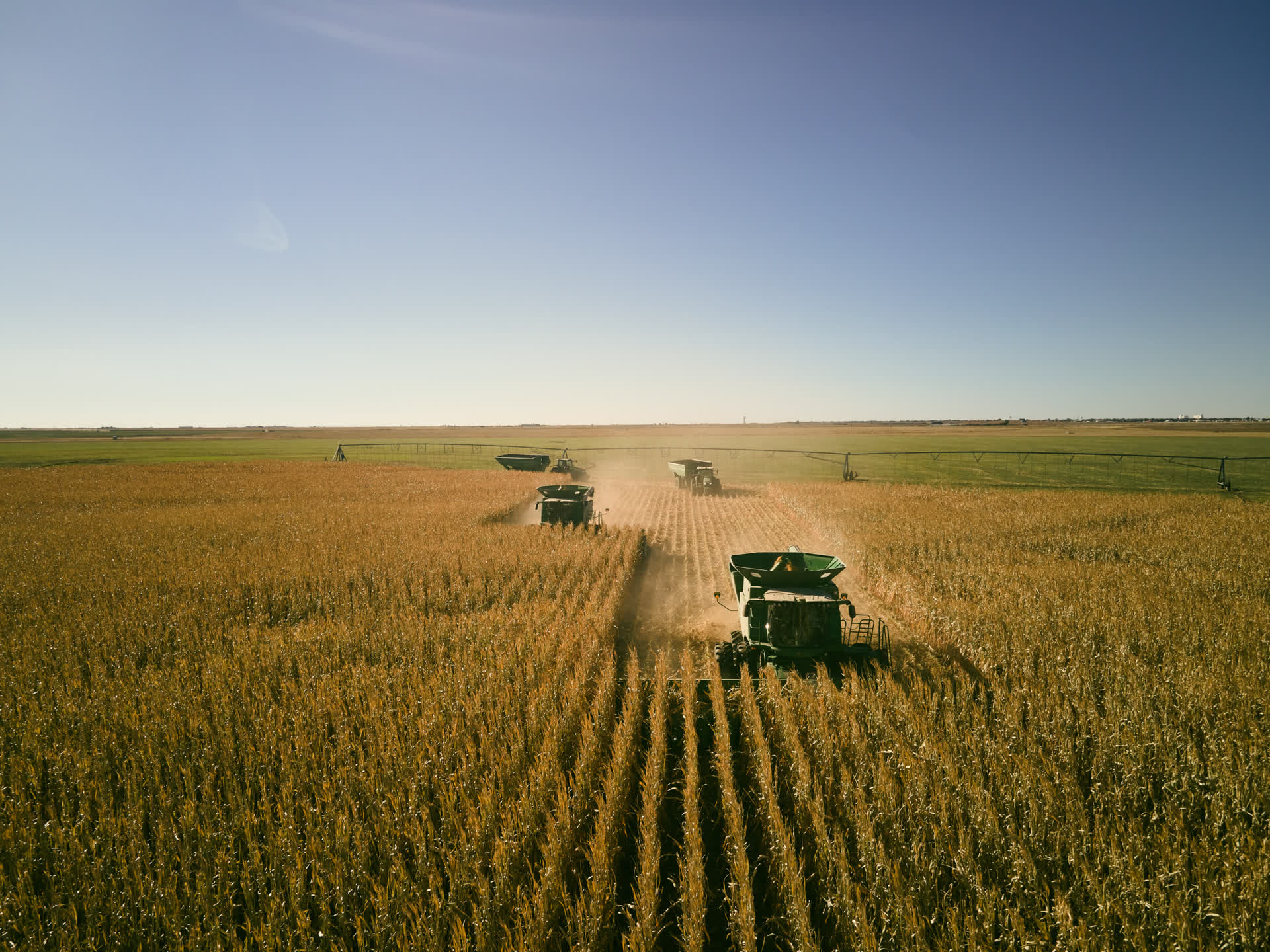 Aerial view of harvest